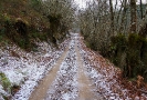 Camiños de Inverno 