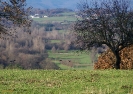 Os corvos da Ribeira Sacra